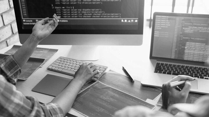 Software Einführung - Digitalisierung
